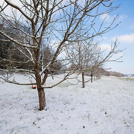 Stone Cottage With Modern Cosy Interior Near To Josselin Perfect Retreat For Writers Or Star Gazers Guegon ภายนอก รูปภาพ