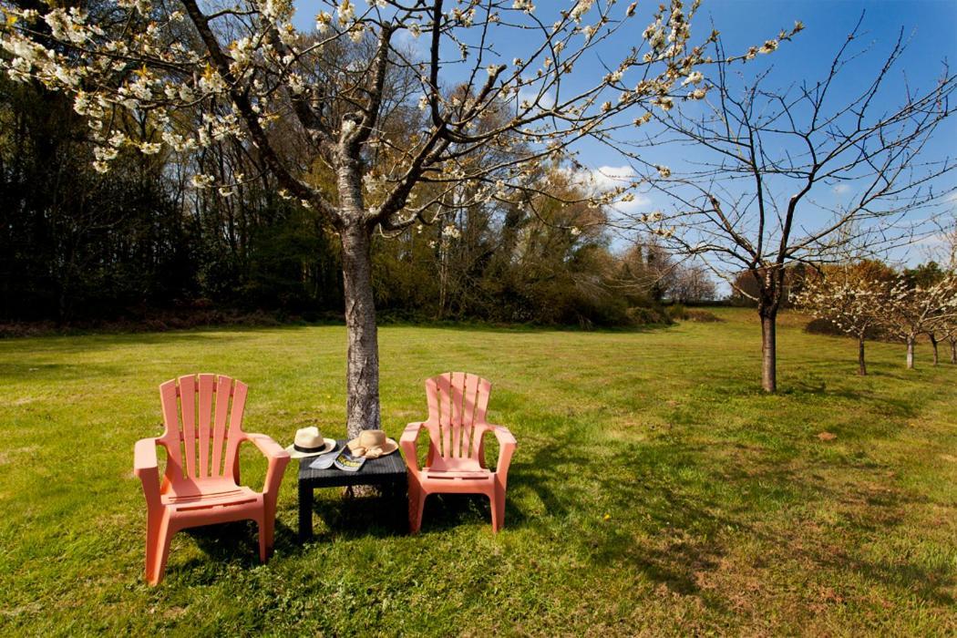 Stone Cottage With Modern Cosy Interior Near To Josselin Perfect Retreat For Writers Or Star Gazers Guegon ภายนอก รูปภาพ